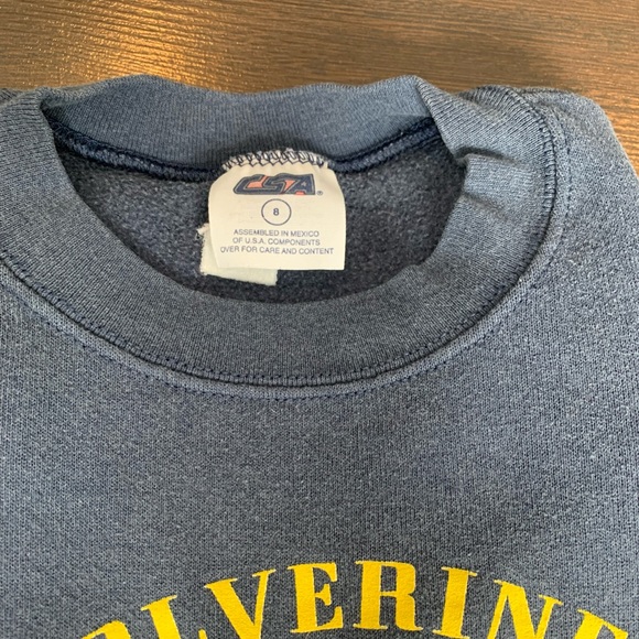 Vintage made in USA Kid’s Wolverine Michigan Sweater in Grey - Picture 3 of 5